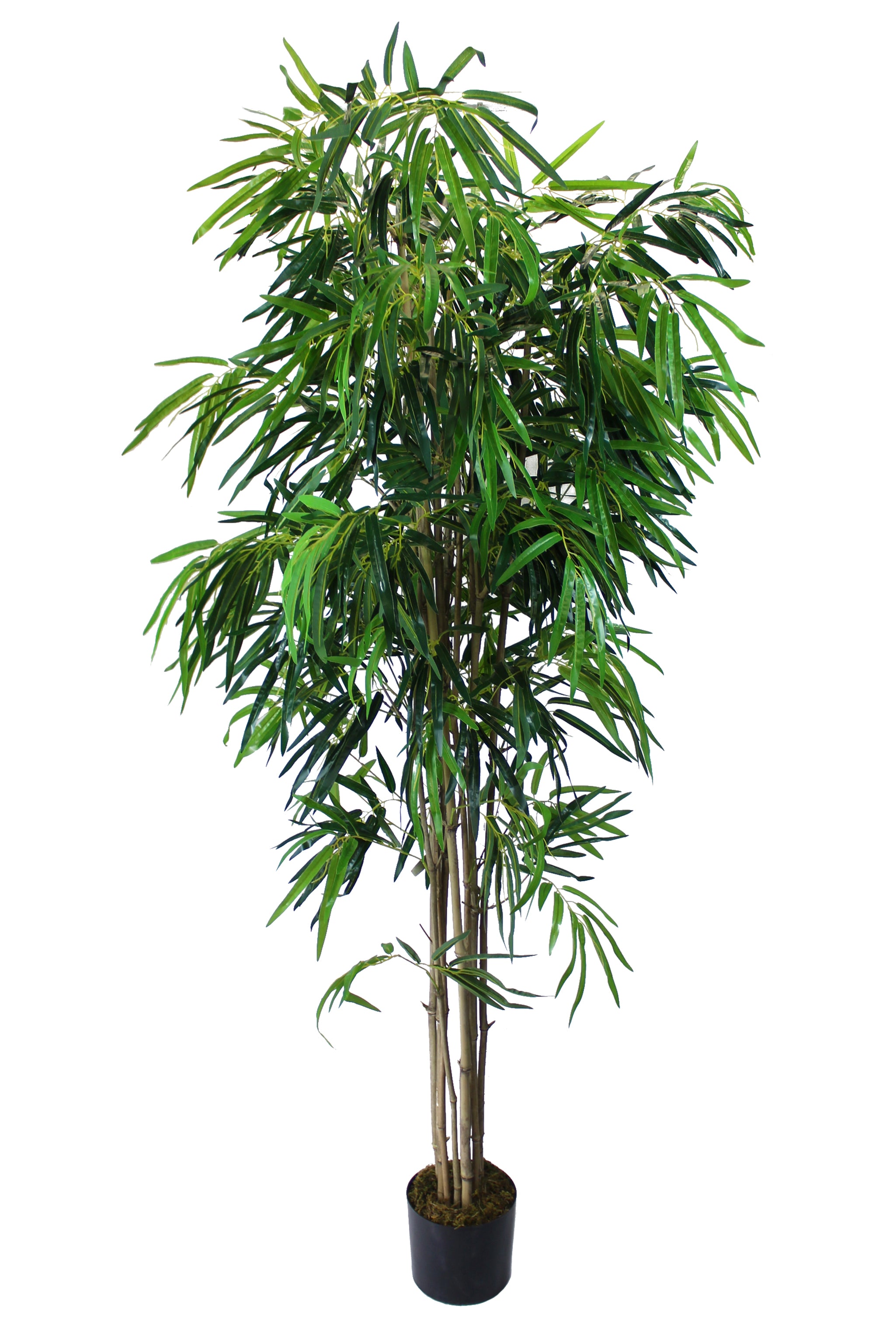 Deluxe Kunstpflanze künstlicher cm 190 Bambus Großer – arnusa