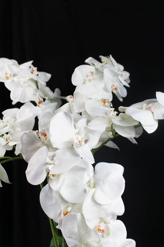 Große künstliche Orchidee Weiß arnusa – 110 cm