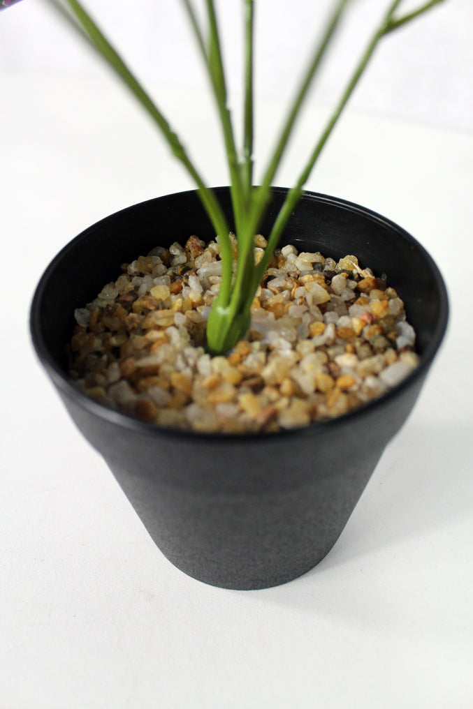 Künstliche Zimmerpflanze Kunstpflanze – arnusa Efeutue