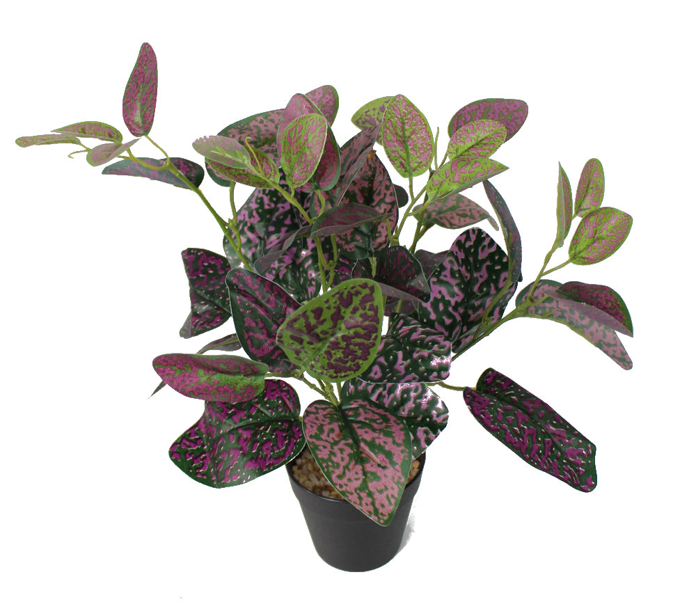 Zimmerpflanze – Efeutue Künstliche Kunstpflanze arnusa